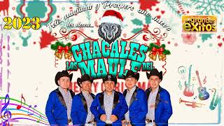 Los Chacales del Maule Exitos Mix 2023 [upl. by Mattheus]