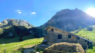 schlini Paradies Teil 1 im Toggenburg  Thurwies Älpli Laui  Jodlerklub Wattwil Der Zgragget [upl. by Burbank]