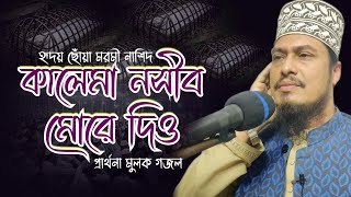 কালেমা নসীবে মোর দিও  Kalima Nosibe Mor Dio  মুফতি ইদ্রিস রেজভী নতুন গজল [upl. by Enoch]