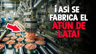 ¿Cómo Se Hace El Atún En Lata Proceso En Fábrica [upl. by Zima]