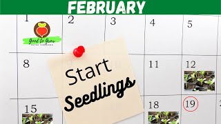 Vegetables to Plant in February  Seed Starting Indoors February Seeds Zone 5 Gardening [upl. by Fidellia]