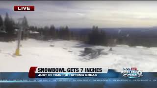 Seven inches of snow at Snowbowl [upl. by Sherrard335]