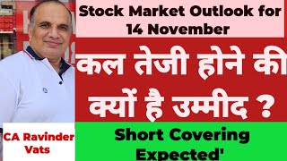 Stock Market Crash  Positive Outlook for Tomorrow14 November 24 by CA Ravinder Vats [upl. by Tudor]