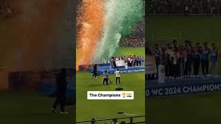 Celebration in Wankhede of t20 world cup champion India viral shorts cricket celebration [upl. by Mayhs158]