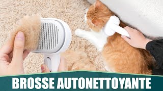 LA MEILLEURE BROSSE POUR POILS DE CHAT amp CHIEN  Aumuca [upl. by Hanforrd375]