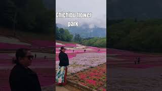 chichibu flower park Japan music cover travel japanvibes anime flowers [upl. by Hevak]