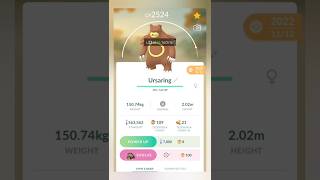 Evolve Ursaring Full Moon Tricks Must Watch Pokemon Go viral pokemongo shiny [upl. by Sordnaxela726]