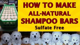 How to make sulfate free fast hair growth Natural Shampoo Bars  Shampoo bars with no synthetics [upl. by Axia]