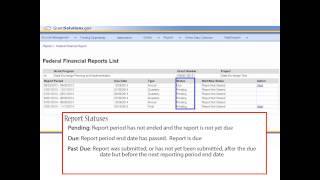 Introduction to the Federal Financial Report FFR for Grantees [upl. by Aleekahs]