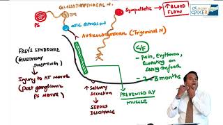 10 minute series FREYs Syndrome [upl. by Earahs]