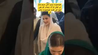 sania ashiq with maryam nawaz saniaashiqpmln maryamnawaz pmln asifalizardari imrankhan shorts [upl. by Ntsyrk]