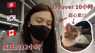 和貓咪一起轉機去多倫多 I 在韓國layover 10小時 I 移民加拿大 I 超級超級心累 [upl. by Aciretahs167]