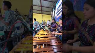 Bailando en Tercera Dimensión  Micro Salazar y su Marimba Orquesta [upl. by Eanahs]