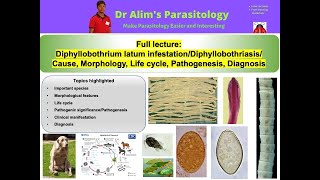 Cestode Family Diphyllobothriidae Diphyllobothrium latum DiphyllobothriasisFull lectureDr Alim [upl. by Oruntha]