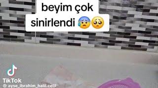 Beyyim çok sinirlendi😣 ayşekoşar halilişko celilişko beyim mıleh [upl. by Biles]