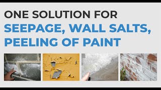 Insta Wallguard Solution for seepage walls efflorescence peeling of paint by Makphalt in Hindi [upl. by Glynnis986]