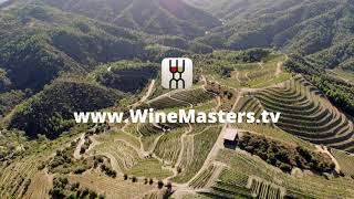 WineMastersTV  Premium Wine Streaming Platform [upl. by Oreves]