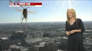 Bee attacks Meteorologist Jennifer Ketchmark during weather forecast [upl. by Ynahteb]