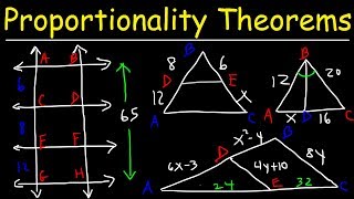 Triangle Proportionality Theorem Side Splitter Theorem amp Angle Bisector Theorem  Geometry [upl. by Tebzil380]