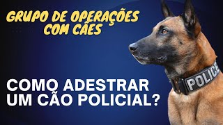 Como adestrar um cachorro policial Rotina de treinamento dos cães gcm cachorro [upl. by Liz18]