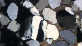 Calcite cement in aeolian sandstone XPL [upl. by Monica]