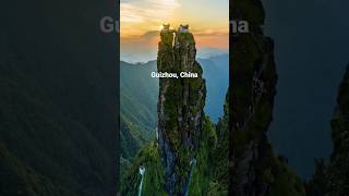 Guizhou China Fanjingshan Mountain Must visit travel shorts china world placetovisit [upl. by Wettam709]