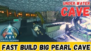 Build pearl cavedesign  towerArk survival ascended [upl. by Atnuhs934]