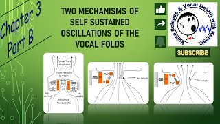 Mechanisms to explain selfsustained oscillations of the vocal folds [upl. by Aietal250]