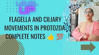 FLAGELLA AND CILIARY MOVEMENTS IN PROTOZOA🎯👉Describe brieflyMscBscUGC💯👍✅ [upl. by Jasmine]