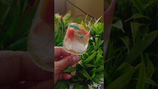 chupa chup multi colour Popsicle  icecream 🍨 🍨litchi drink shortsviraltrendingyt studio [upl. by Eugenie]