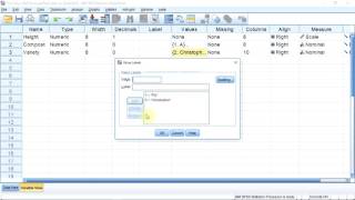 Introduction to twoway parametric ANOVA in SPSS [upl. by Mehsah]