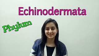 Phylum Echinodermata  Biological classification part 18  Class XILecture 46 [upl. by Akehsay984]