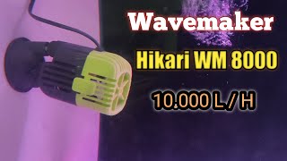 unboxing Wavemaker Hikari WM 8000 10000 LH [upl. by Hayidah]