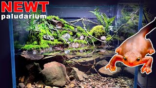 NEWT PALUDARIUM WATERFALL SETUP FINISHED  MD FISH TANKS [upl. by Resarf]