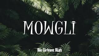 PNL quotDéconnectéquot type Beat  Don Corleone Beats  Mowgli [upl. by Odelle]