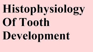 Histophysiology  Devp of tooth Part 1d [upl. by Enaj]