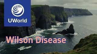 Wilson Disease vs Hemochromatosis vs Porphyria UWorld Notes USMLE USMLE Step 1 [upl. by Tedmund672]