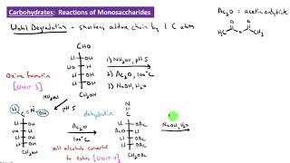 CHEM 2325 Module 37 Wohl Degradation [upl. by Asiluj198]