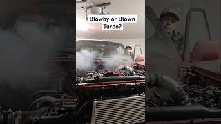 Blowby or Blown Turbo toyota landcruiser turbo diesel cummins [upl. by Smaj]