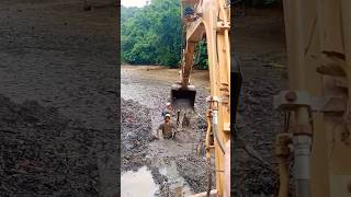 Omg to much fish excavator meenpollichath waterfall fishingfreakz [upl. by Kolnos]