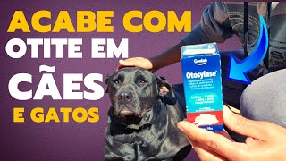 Como TRATAR OTITE em CACHORRO melhores Remédios [upl. by Newob]