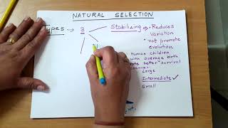 naturalselectiondirectionalselection Natural selectionTypes [upl. by Ahsinahs]