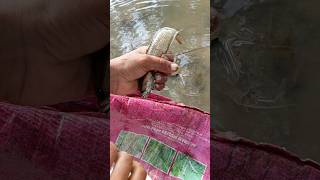 Fish hooking trending fishing viralshort [upl. by Cornie504]