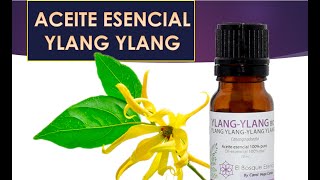 ACEITE ESENCIAL YLANG YLANG BENEFICIOS E INCONVENIENTES [upl. by Acirat]