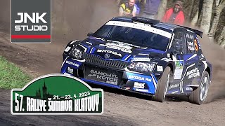 Best of 57 Rallye Šumava Klatovy 2023  1 etapa action amp mistakes [upl. by Sherburn]