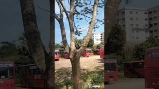 উদ্দেশ্য ও লক্ষ্য nature short shortvideo viralvideo vlog video trending [upl. by Corrie913]