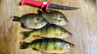 Lake Winnebago Perch Fishing 91524 [upl. by Idnod]