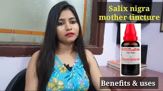 Salix nigra homeopathic medicineSalix nigra 30Salix nigra 200Salix nigra mother tincture benefits [upl. by Filemon]