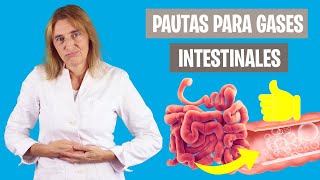 CÓMO SOLUCIONAR los GASES INTESTINALES  Mejora la inflamación intestinal  Nutrición clínica [upl. by Magee]