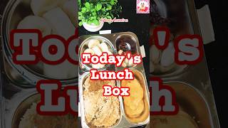 Simple lunch box todayslunchbox youtubeshorts PariAamiraAfsheen [upl. by Iaria830]